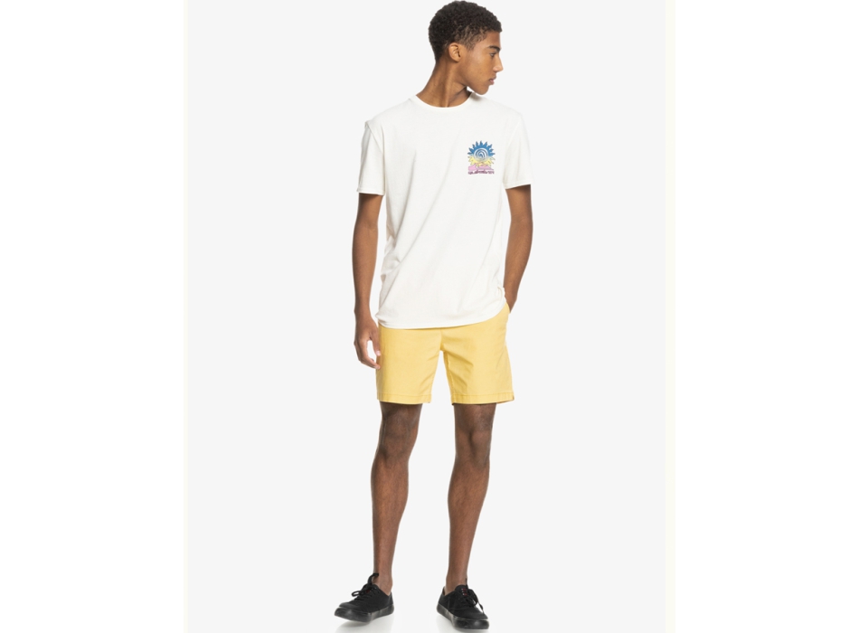 QUIKSILVER TAXER 17" ELASTICATED SHORTS RATTAN