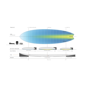 TORQ TET 6'10" FISH CLASSIC COLOR PALM BLUE